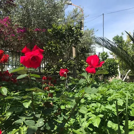 - Spacious Garden And Balcony 5 Min To & Center Ksamil