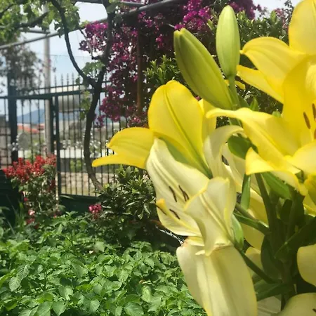 - Spacious Garden And Balcony 5 Min To & Center Apartment Ksamil
