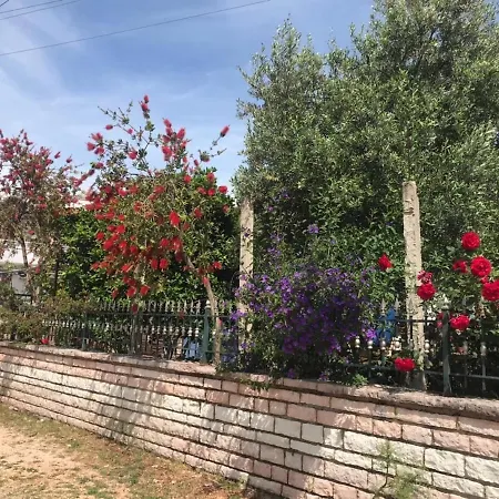 - Spacious Garden And Balcony 5 Min To & Center *