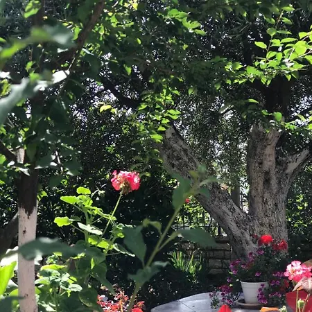 - Spacious Garden And Balcony 5 Min To & Center * Ksamil