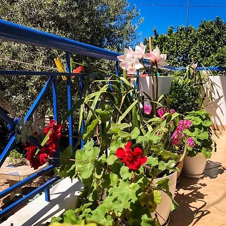 Apartment - Spacious Garden And Balcony 5 Min To & Center Ksamil
