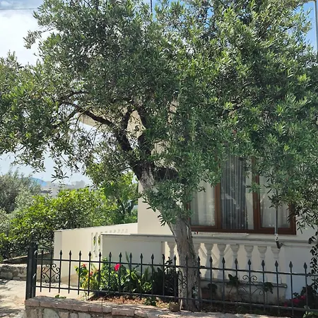Apartment - Spacious Garden And Balcony 5 Min To & Center Ksamil