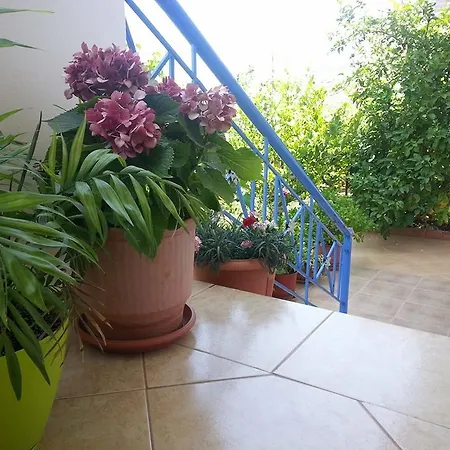 - Spacious Garden And Balcony 5 Min To & Center